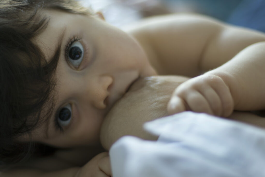 Bébé allaitant - Studio Rosa - Photographe Dordogne - Maternité et moments de vie