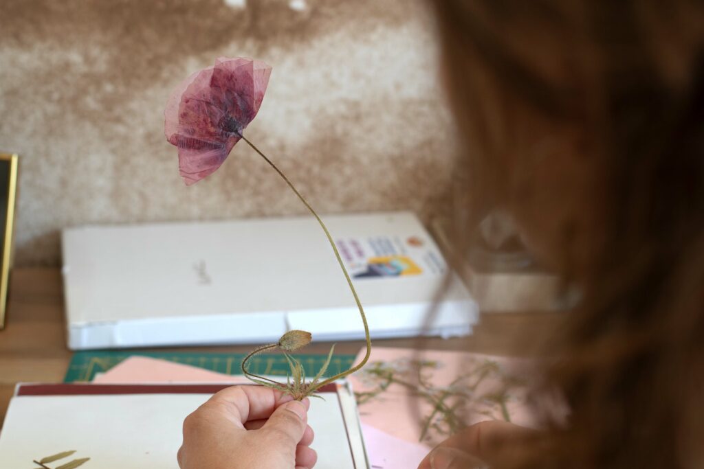 Elodie SEIGNEUR, We Blody - Studio Rosa - Photographe Dordogne - Maternité et moments de vie
